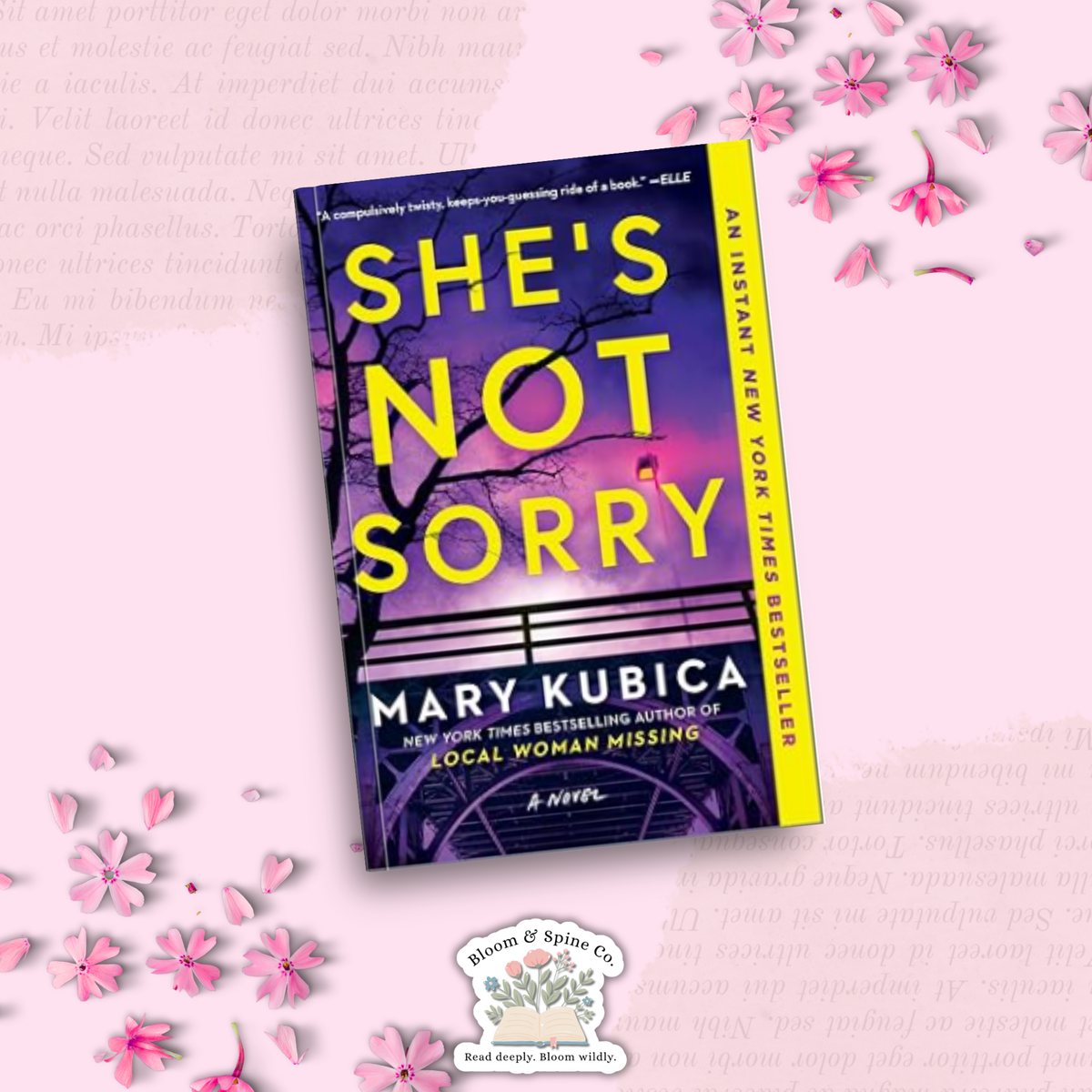 She's Not sorry by Mary Kubica