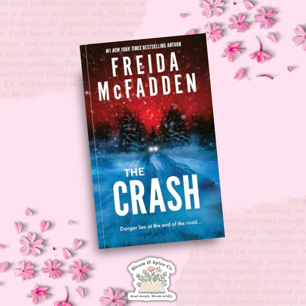 The Crash by Freida McFadden
