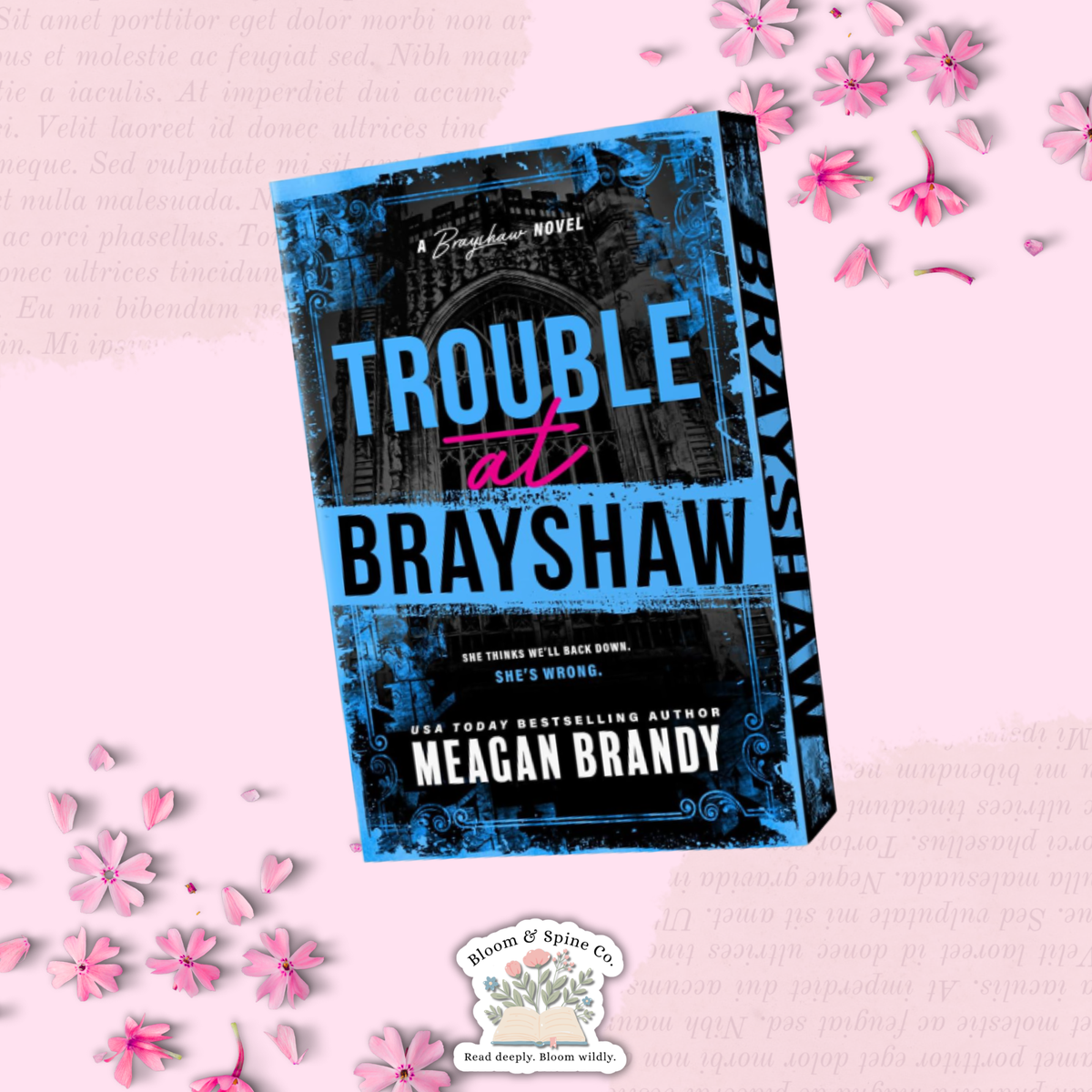 Trouble at Brayshaw by Meagan Brandy